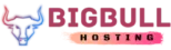 BigbullHost India
