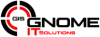 GNOME IT SOLUTIONS LLC