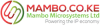 Mambo Microsystems