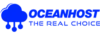 OCEANHOST LLC